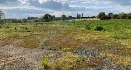 Mouilleron-le-Captif Terrain à bâtir - 1926127-10977annonce120240816OpEfA.jpeg Maisons Tradilignes